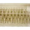 Photograph, Yard-Long, Company G, 541st Parachute Infantry Regiment, US Airborne