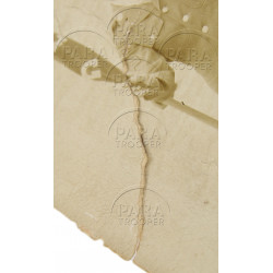 Photograph, Yard-Long, Company G, 541st Parachute Infantry Regiment, US Airborne