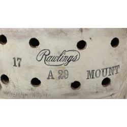 Casque de football américain, Rawlings