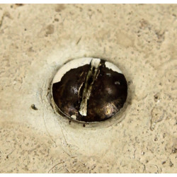 Casque Mk II, sud-africain, camouflé sable