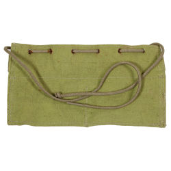 Insert, Medical, Type II
