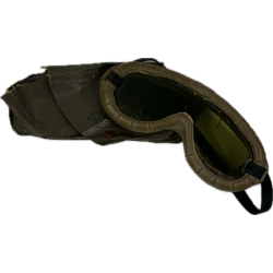 Lunettes Polaroid, Type 1021, US Army