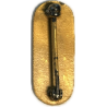 Rank Insignia, Warrant Officer, PB