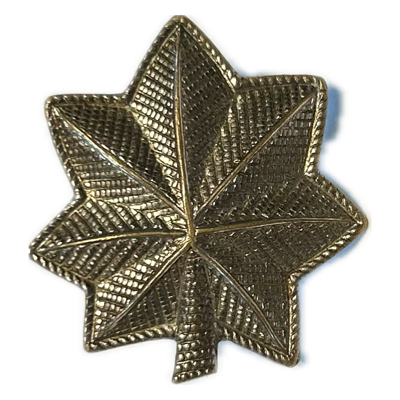 Insignia, Rank, Lieutenant Colonel, Pin Back Insignia, Rank, Lieutenant Colonel, Pin Back