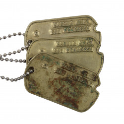 Plaques d'identité, Dog Tags, Pfc. Paul Liezak, 895th AAA (AW) Bn., MTO & ETO