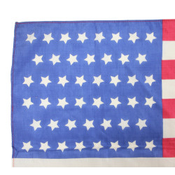 Drapeau US, 46 étoiles imprimées, 1908-1912