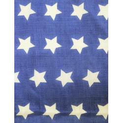 Drapeau US, 46 étoiles imprimées, 1908-1912