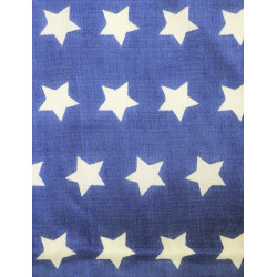 Drapeau US, 46 étoiles imprimées, 1908-1912