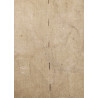 Housse de transport pour attelles, Splint Set, US Army Medical Department