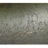 Casque M1, pattes fixes, US Navy, camouflé, liner Westinghouse