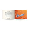 Les Avions, Quelle Histoire