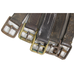 Harnesses, Leather, German, for Horse-Drawn Vehicle, Normandy