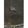 Casque M1, pattes fixes, 5th Infantry Division, impacté Casque M1, pattes fixes, 5th Infantry Division, impacté