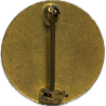 Crest, 85th Infantry Division, à épingle