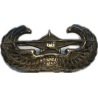 Wings, Badge, Glider, US Army, Sterling