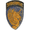 Insigne, 13th Airborne Division
