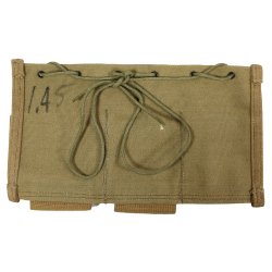 Insert, Medical, Type I