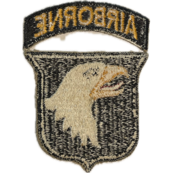 Insigne, 101st Airborne Division, Type 2