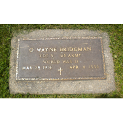 Grouping, T/5 Oris Bridgman, Medical Department, 53rd & 103rd General Hospitals, ETO