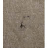 Blanket, Wool, US Army, Type I
