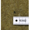 Couverture, US Army Medical Department, Item No. 99090