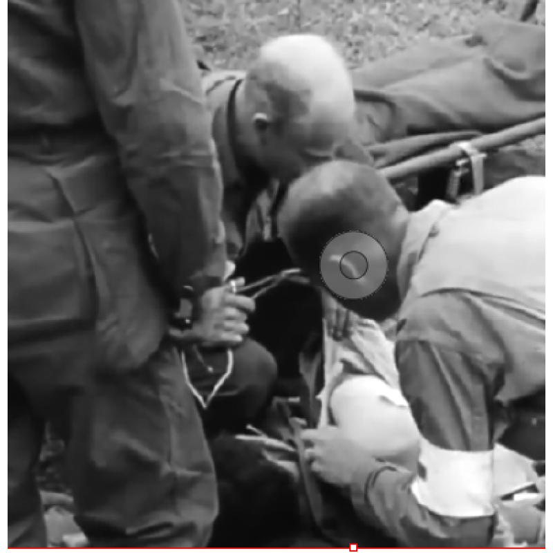 Ciseaux à pansement, Infirmier, Sacoche Medic, Medical Item No. 346800, CLAUSS USA