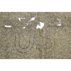 Blanket, Wool, US Army, Type I, 1943
