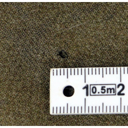 Cap, Garrison, Infantry, Size 6 ⅞, 1941, Laundry Number