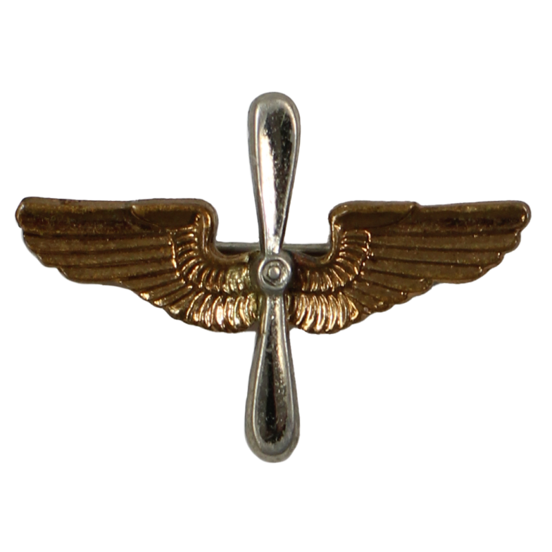 Insignia, Collar, Officer, USAAF, 'Snowflake'