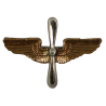 Insignia, Collar, Officer, USAAF, 'Snowflake'