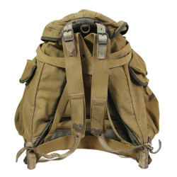 Sac à dos, Bergam, Britannique