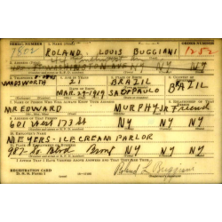 Armband, Medical, and Pass, Medical Detachmet, T/3 Roland Buggiani, Medical Detachment, 505th PIR, 82nd Airborne Division, ETO