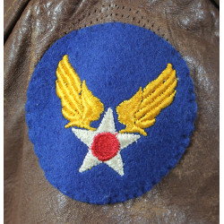 Jacket, Flight, A-2, S/Sgt. Charles Palmer, Aerial Gunner, 403rd BS, 43rd BG, 5th Air Force, USAAF, PTO