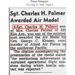 Jacket, Flight, A-2, S/Sgt. Charles Palmer, Aerial Gunner, 403rd BS, 43rd BG, 5th Air Force, USAAF, PTO