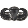 Grouping, Cpt. Arthur Northwood, Jr., 501st PIR, 101st Airborne Division, ETO Grouping, Cpt. Arthur Northwood, Jr., 501st PIR, 101st Airborne Division, ETO