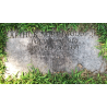 Grouping, Cpt. Arthur Northwood, Jr., 501st PIR, 101st Airborne Division, ETO Grouping, Cpt. Arthur Northwood, Jr., 501st PIR, 101st Airborne Division, ETO
