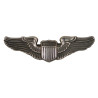 Wings, Pilot, USAAF, N.S. MEYER, INC., Sterling, with Leaflet