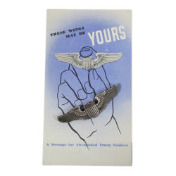 Wings, Pilot, USAAF, N.S. MEYER, INC., Sterling, with Leaflet