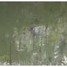 Casque M1, pattes fixes, Schlueter, Ensign, US Navy, liner MSA, A washers verts Casque M1, pattes fixes, Schlueter, Ensign, US Navy, liner MSA, A washers verts
