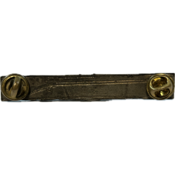 Badge, Expert Infantryman