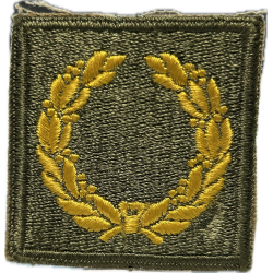 Insigne, Meritorious Unit Citation
