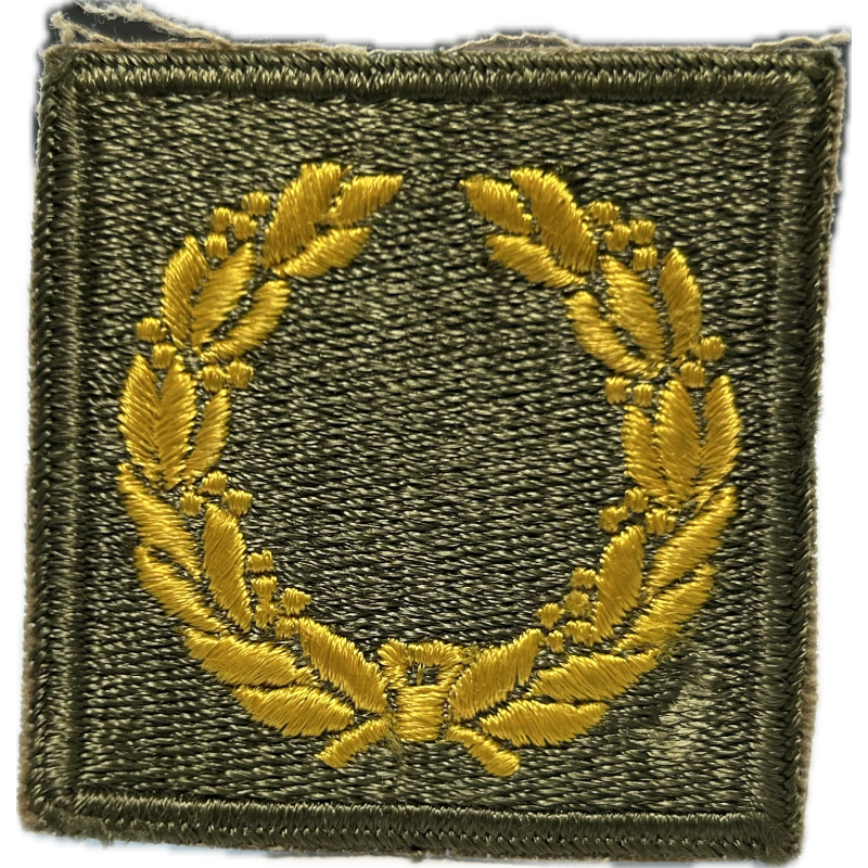 Insigne, Meritorious Unit Citation