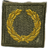 Insigne, Meritorious Unit Citation