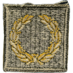 Insigne, Meritorious Unit Citation