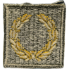 Insigne, Meritorious Unit Citation