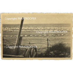 Carte postale, Mur de l'Atlantique, Canon en bois braqué sur l'Angleterre