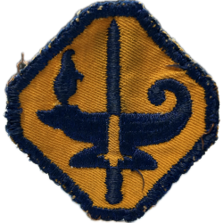 Insigne, Army Specialized Training Program Reserve, Twill
