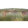 Helmet, M2, 2/501, 101st Airborne Division, INLAND Liner, Normandy, Holland, Bastogne