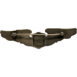 Wings, Pilot, USAAF, Sterling