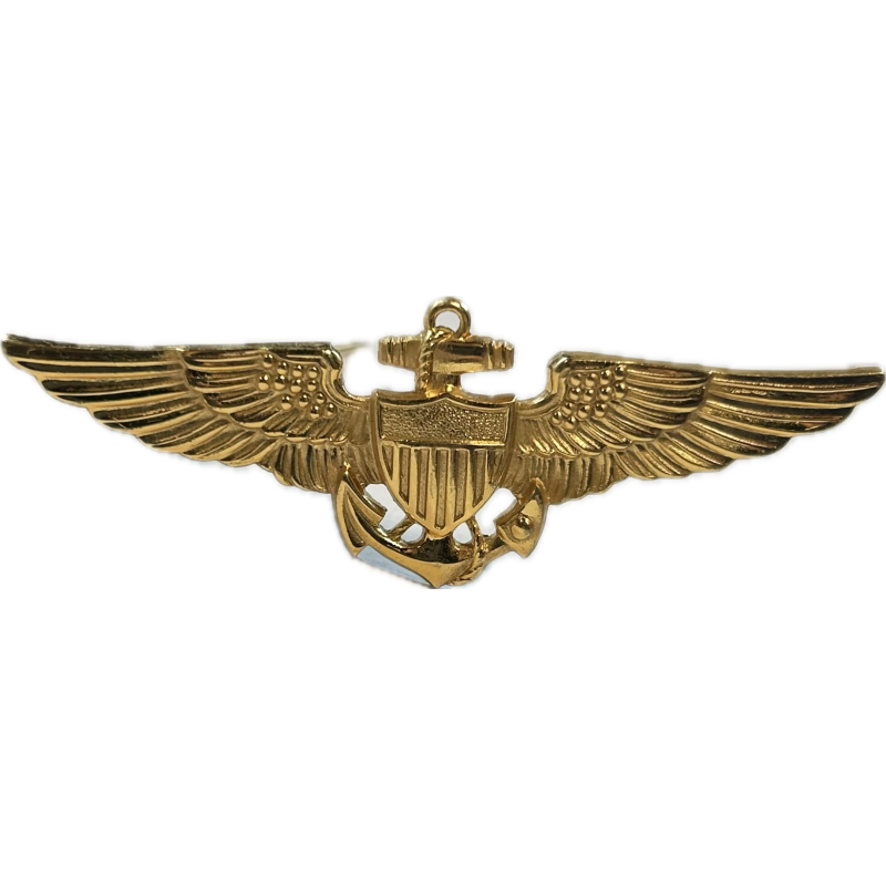 Wings, Pilot, US Navy & USMC, Sterling, Pin Back